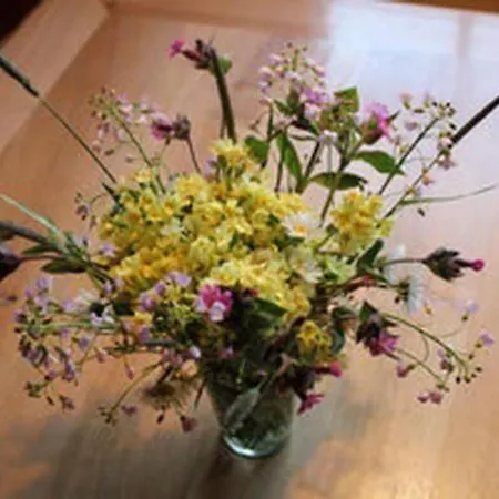 Obere Laui By Interhome Vakantiehuis