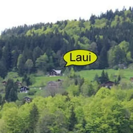 Obere Laui By Interhome Holiday home *
