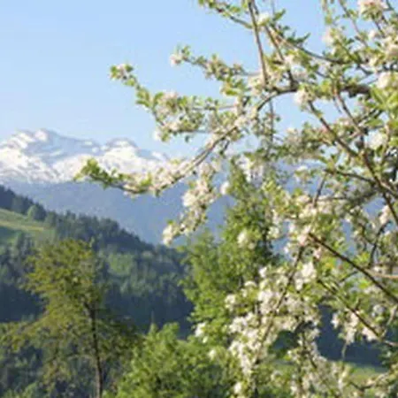 Obere Laui By Interhome * Nesslau