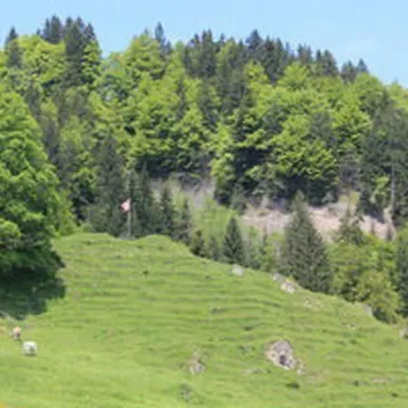 Obere Laui By Interhome * Nesslau