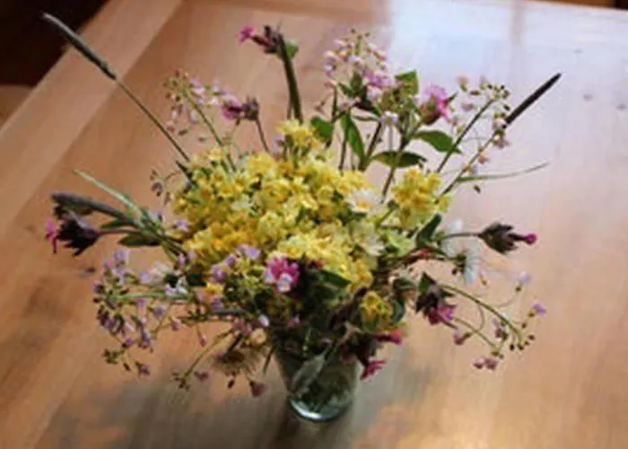 Obere Laui By Interhome بيت للعطل