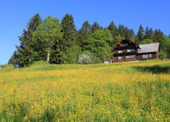 Obere Laui By Interhome Дом отдыха