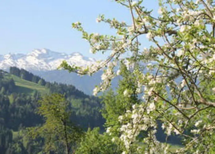 Obere Laui By Interhome * Nesslau