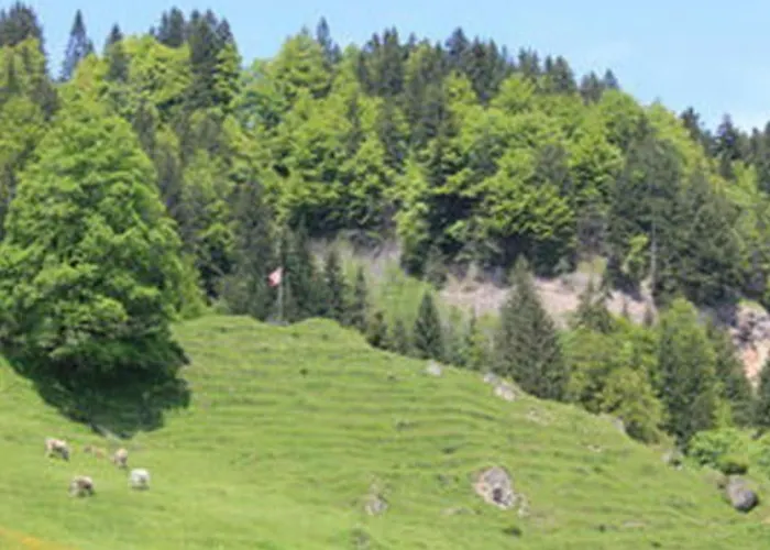 Obere Laui By Interhome * Nesslau